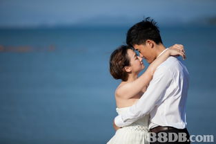 婚纱摄影全攻略 从婚前照片到婚礼纪实